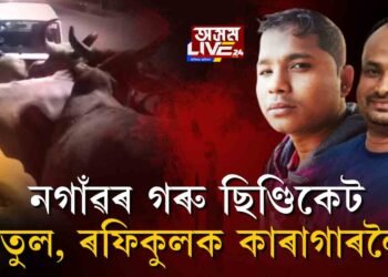 নগাঁৱৰ গৰু ছিণ্ডিকেট, মাষ্টাৰমাইণ্ড ৰাতুল আলী, ৰফিকুল ইছলাম কাৰাগাৰলৈ