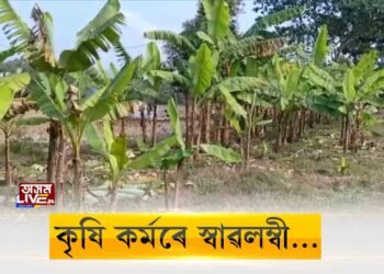 টীয়ক মহাবিদ্যালয়ৰ অভিনৱ পদক্ষেপ। ১০০ বিঘা মাটিত খেতি কৰিছে মহাবিদ্যালয় কৰ্তৃপক্ষই।