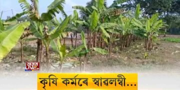 টীয়ক মহাবিদ্যালয়ৰ অভিনৱ পদক্ষেপ। ১০০ বিঘা মাটিত খেতি কৰিছে মহাবিদ্যালয় কৰ্তৃপক্ষই।