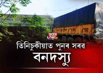 তিনিচুকীয়াত পুনৰ সৰৱ বনদস্যু