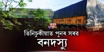 তিনিচুকীয়াত পুনৰ সৰৱ বনদস্যু