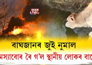 বাঘজানৰ জুই নিৰ্বাপিত হ’ল, সমস্যাবোৰ ৰৈ গ’ল