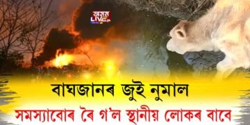 বাঘজানৰ জুই নিৰ্বাপিত হ’ল, সমস্যাবোৰ ৰৈ গ’ল