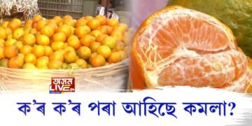বজাৰ ভৰি পৰিছে কমলাৰে