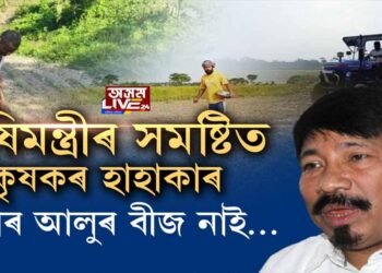 অগপ-বিজেপিৰ নেতা-পালিনেতাৰ বীজৰ ক’লা বজাৰৰ বেহা
