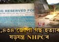 নদী হত্যাৰ পাছত এইবাৰ বন ধ্বংস প্ৰকৃতি বিৰোধী NHPCৰ