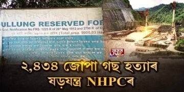 নদী হত্যাৰ পাছত এইবাৰ বন ধ্বংস প্ৰকৃতি বিৰোধী NHPCৰ