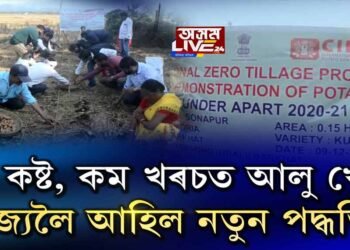 সোণাপুৰত আলু খেতিৰ নতুন পদ্ধতিৰ শুভাৰম্ভণি