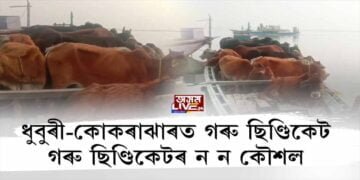 ধুবুৰী-কোকৰাঝাৰৰ গৰুৰ ছিণ্ডিকেটত ন ন কৌশল