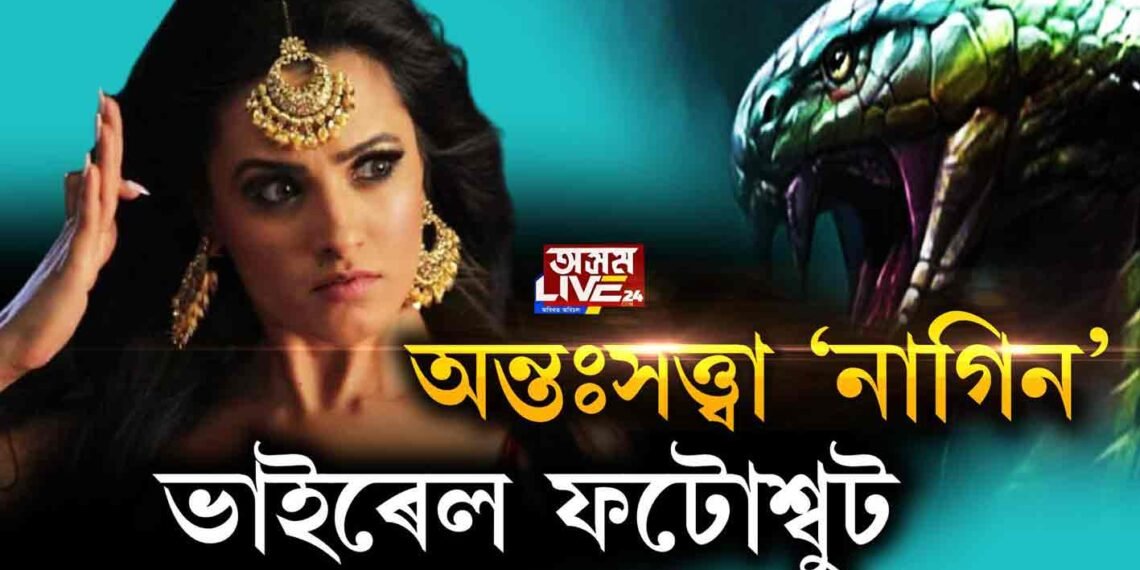 অন্তঃসত্ত্বা নাগিন, ভাইৰেল ফটোশ্বুট