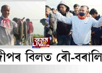 দীপৰ বিলত ৰৌ-বৰালি