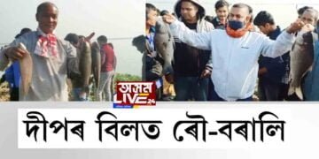 দীপৰ বিলত ৰৌ-বৰালি