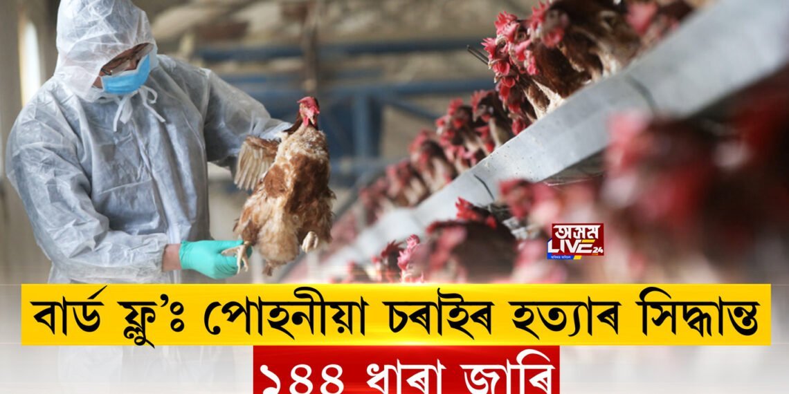 বাৰ্ড ফ্লু’ : পোহনীয়া চৰাইৰ হত্যাৰ সিদ্ধান্ত