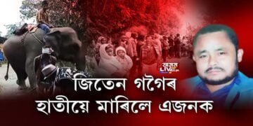 বোকাখাতত জিতেন গগৈৰ হাতীয়ে মাৰিলে এজনক