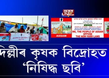 দিল্লীৰ কৃষক বিদ্ৰোহত অসমৰ ছবি আৰু কাৰ্টুন