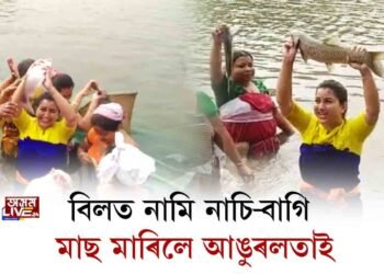 বিলত নামি নাচি-বাগি মাছ মাৰিলে আঙুৰলতাই