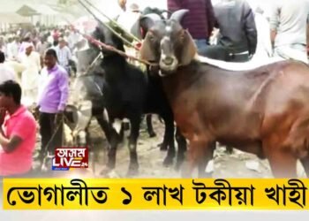 ভোগালীত ১ লাখ টকীয়া খাহী