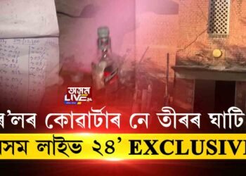 ৰে’লৰ ৭১০ নম্বৰ কোৱাৰ্টাৰত কি চলে?