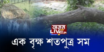 দলঙৰ বাবে ছহিদ হ’ল বহু গছ