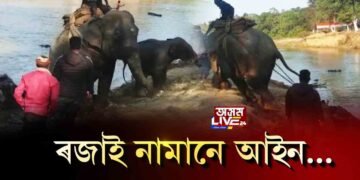 বিধায়কেই ভংগ কৰিলে বন্যপ্ৰাণী সংৰক্ষণ আইন