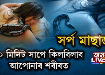 সৰ্প মাছাজ