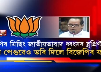 ৰাষ্ট্ৰীয়তাবাদত লীন আঞ্চলিক ৰাজনৈতিক দল