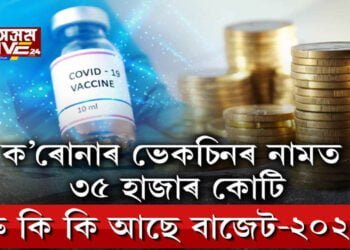 নিৰ্মলাৰ বাজেটে কি দিলে, কি নিদিলে? 