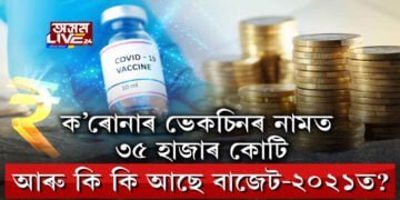 নিৰ্মলাৰ বাজেটে কি দিলে, কি নিদিলে? 