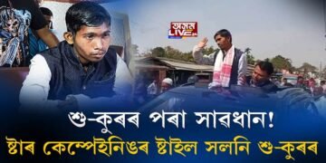 ষ্টাৰ কেম্পেইনিঙৰ ষ্টাইল সলনি শু-কুৰৰ