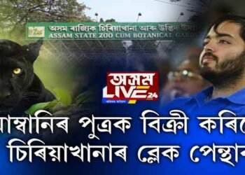 কি চলিছে অসম ৰাজ্যিক চিৰিয়াখানাত?