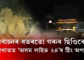 নিৰ্বাচনৰ বতৰতো গৰুৰ ছিণ্ডিকেট