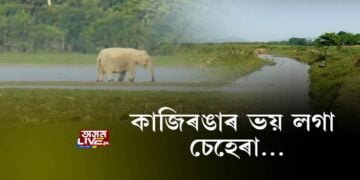কাজিৰঙাৰ ভয় লগা চেহেৰা…