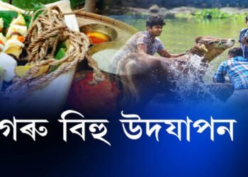 ৰাজ্যজুৰি উদযাপিত গৰু বিহু