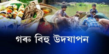 ৰাজ্যজুৰি উদযাপিত গৰু বিহু