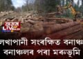 লেখাপানী সংৰক্ষিত বনাঞ্চলত ধ্বংসযজ্ঞ