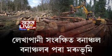 লেখাপানী সংৰক্ষিত বনাঞ্চলত ধ্বংসযজ্ঞ