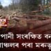 লেখাপানী সংৰক্ষিত বনাঞ্চলত ধ্বংসযজ্ঞ