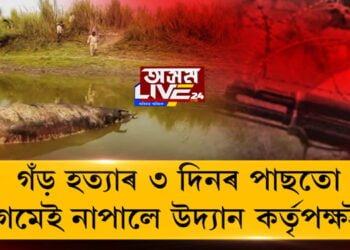 উন্মুক্ত কাজিৰঙাৰ নিৰাপত্তাৰ ফোপোঁলা স্বৰূপ