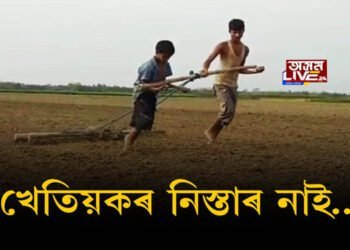 খেতিয়কৰ নিস্তাৰ নাই…