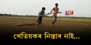 খেতিয়কৰ নিস্তাৰ নাই…