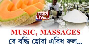 সাৰ-পানীৰে নহয়, MUSIC আৰু MASSAGE ৰ দ্বাৰা বৃদ্ধি হোৱা এবিধ ফল…