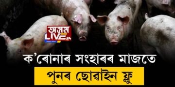 ক’ৰোনাৰ সংহাৰৰ মাজতে পুনৰ আফ্ৰিকান ছোৱাইন ফ্লুৰ আতংক