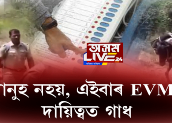 মানুহ নহয়, এইবাৰ EVMৰ দায়িত্বত গাধ