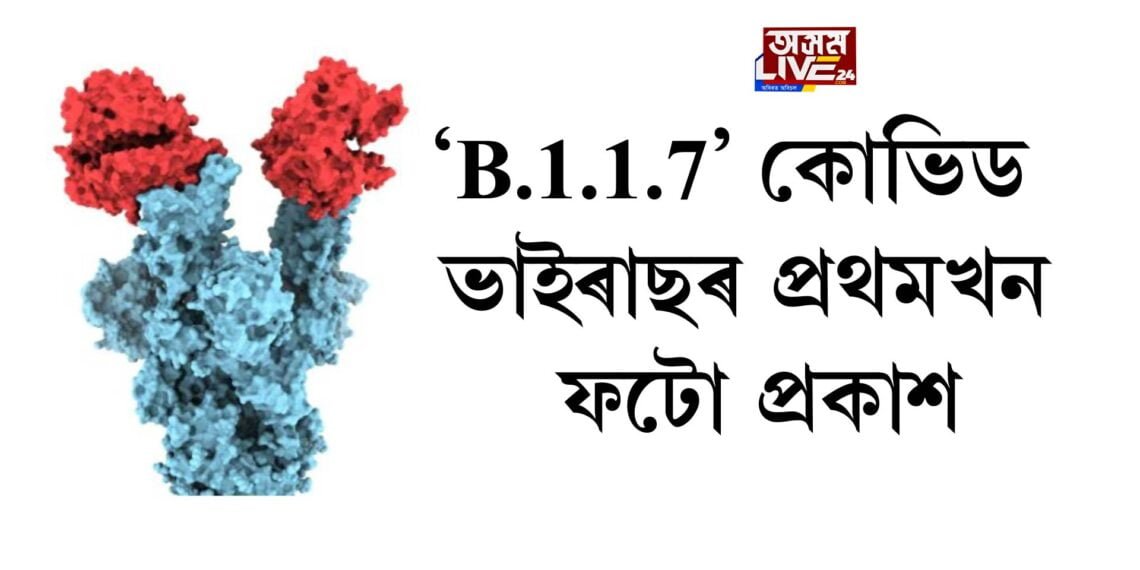 ‘B.1.1.7’ কোভিড ভাইৰাছৰ প্ৰথমখন ফটো প্ৰকাশ