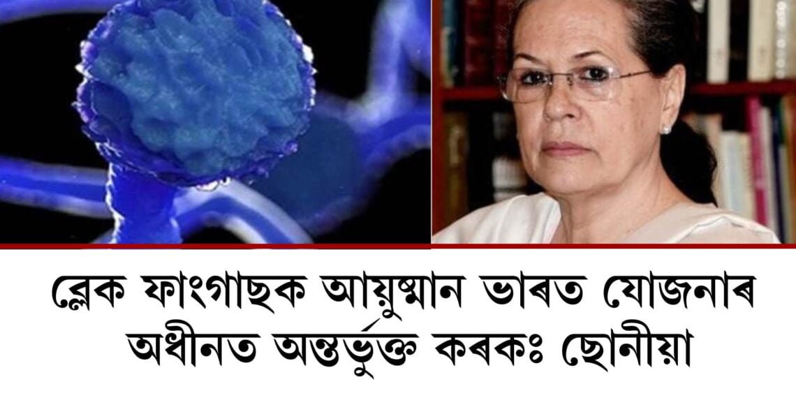 ব্লেক ফাংগাছক আয়ুষ্মান ভাৰত যোজনাৰ অধীনত অন্তৰ্ভুক্ত কৰকঃ ছোনীয়া