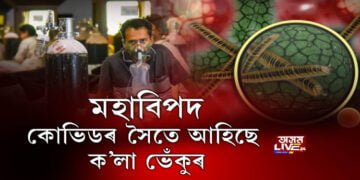 এইবাৰ আতংকৰ অন্য নাম ক’লা ভেঁকুৰ