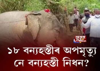 ১৮ বন্যহস্তীৰ অপমৃত্যু নে নিধন?