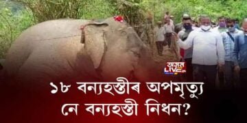 ১৮ বন্যহস্তীৰ অপমৃত্যু নে নিধন?