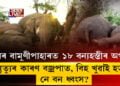 ১৮ বন্যহস্তীৰ অপমৃত্যুৰ কাৰণ বজ্ৰপাত, বিহ খুৱাই হত্যা নে বন ধ্বংস?