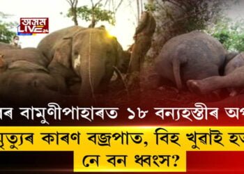 ১৮ বন্যহস্তীৰ অপমৃত্যুৰ কাৰণ বজ্ৰপাত, বিহ খুৱাই হত্যা নে বন ধ্বংস?
